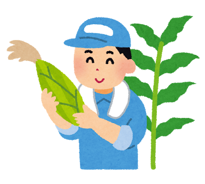 【情報掲載】7/17・18トウモロコシ収穫体験