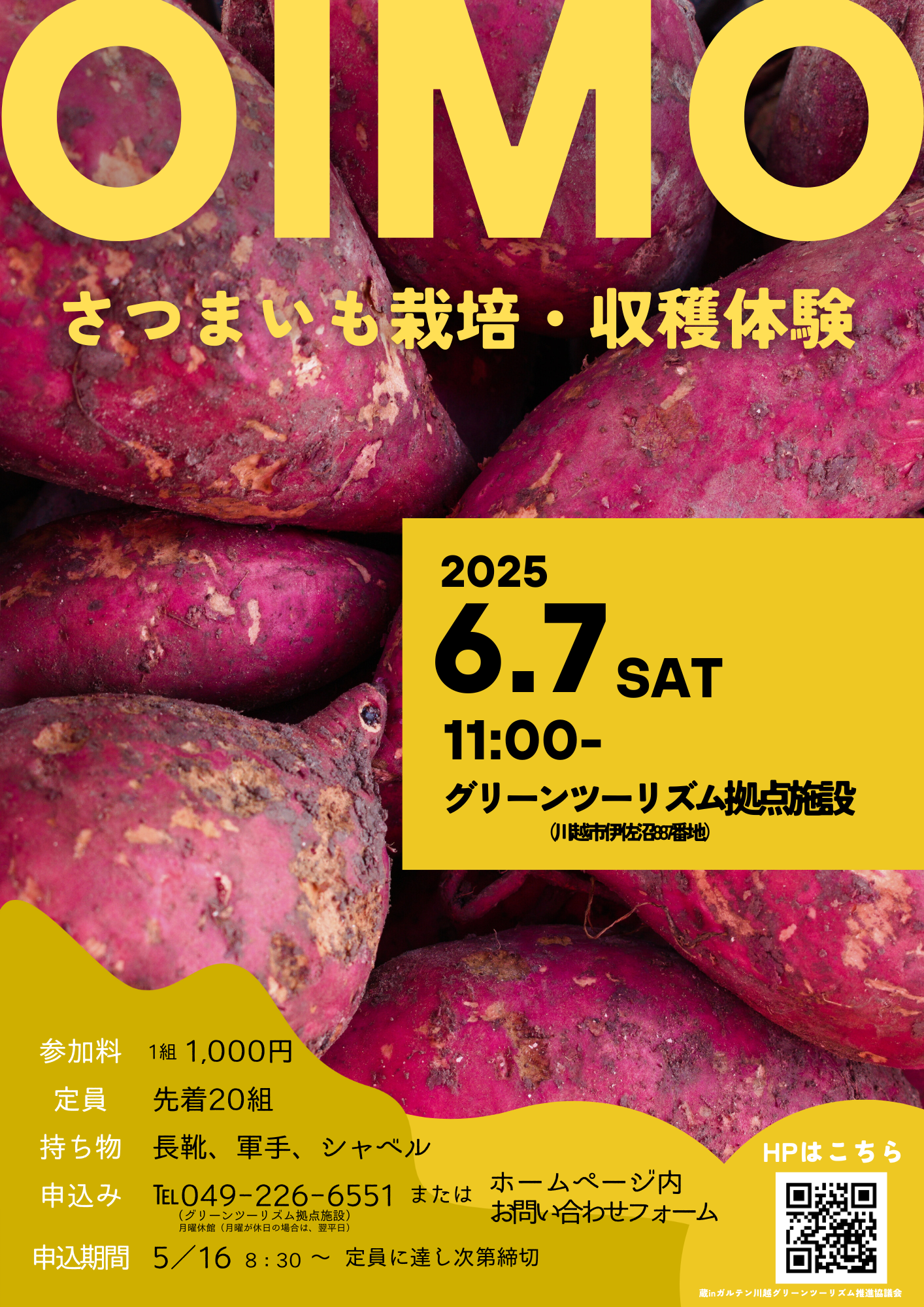 6月7日(土) さつまいも栽培・収穫体験