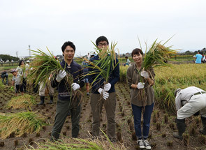 【Rice reaping experience】 Kura in Garten Kawagoe Green Tourism Promotion Council